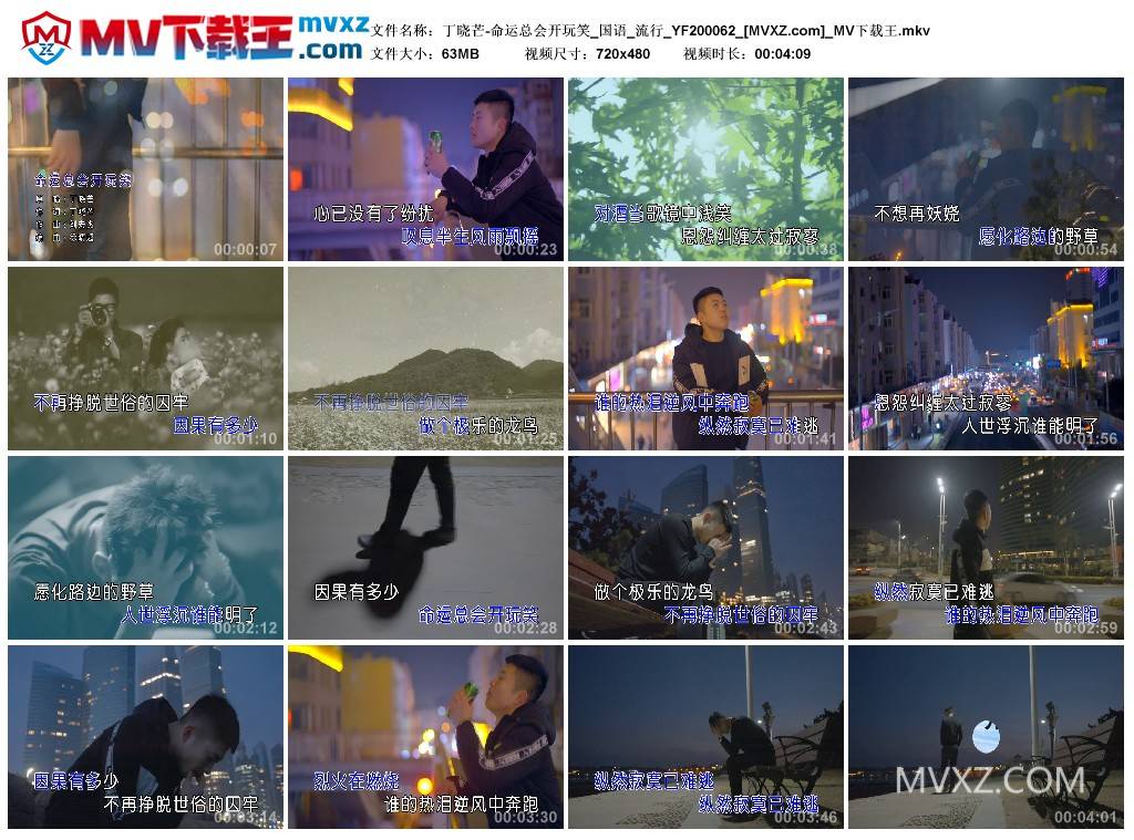 丁晓芒-命运总会开玩笑_国语_流行_YF200062